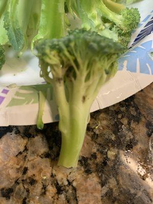 Rotten broccoli