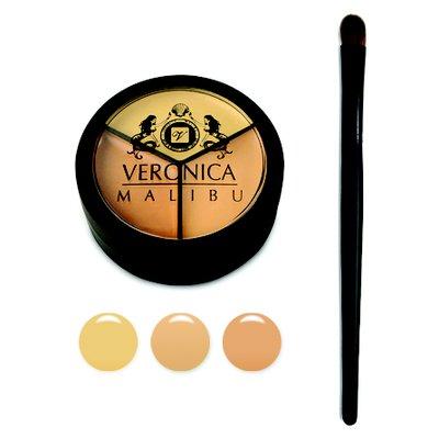 Pro Palette Concealer & Concealer Brush