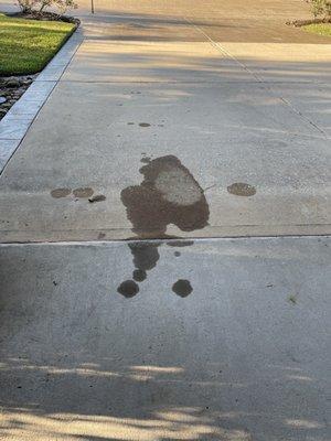 oil leak in the driveway