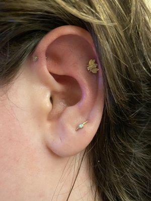 Helix, forward helix, and lobe orbital