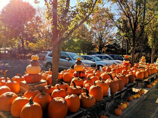 The Garden Shoppe -- inventory continues into parking lot