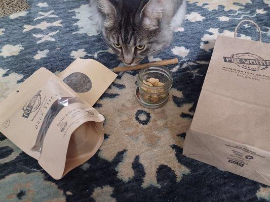 The kitty at home sniffling out new eats