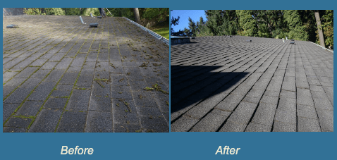 Roof cleaning before and after.