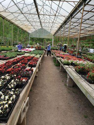 Scituate Nurseries