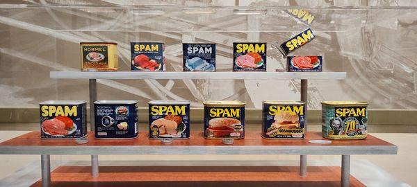 Which Spam can do you remember?