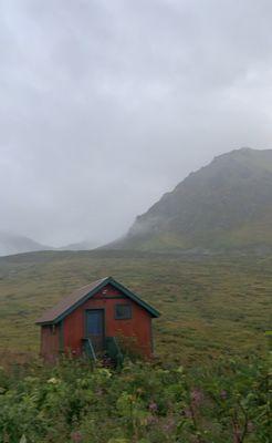 View from the door of our cabin in the morning, was rainy and foggy and so surreal.