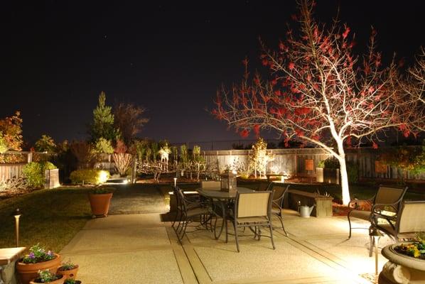 I am so proud of our lighting system from Blair Landscaping that I give tours at night. It's simply stunning!