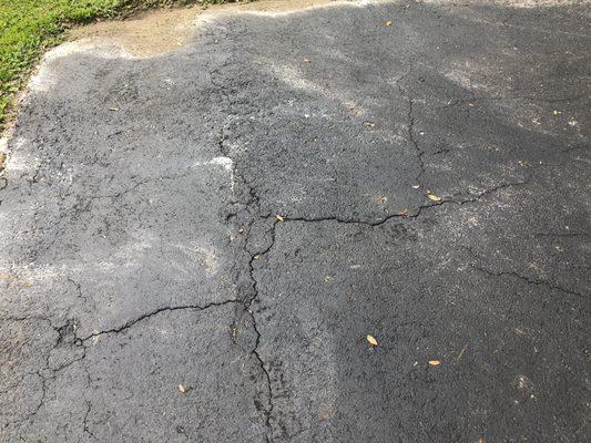 cracked  asphalt