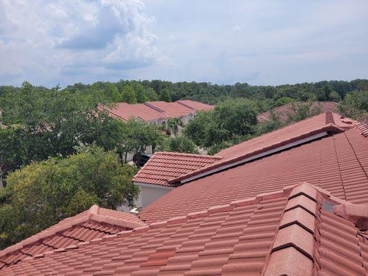 tile roof cleaning Tampa