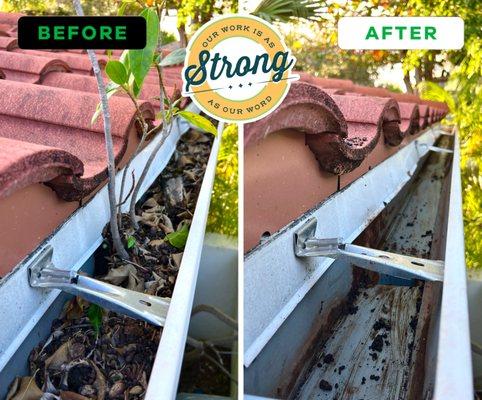 Gutter Cleaning