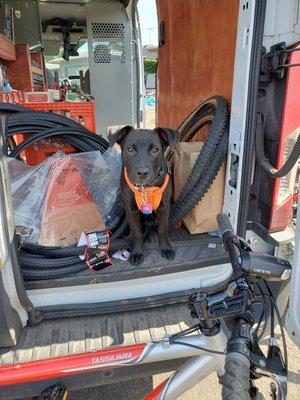 Buck, the mobile shop dog!