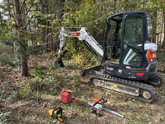 Tree / Storm Cleanup