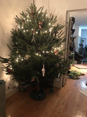 Christmas tree 6-7ft for $60