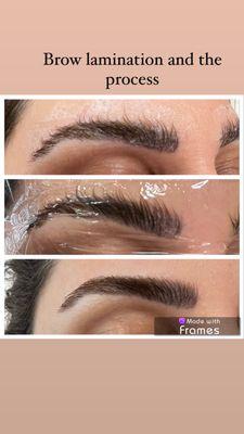 Brow lamination and the process