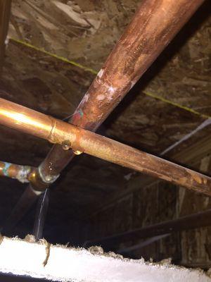 This is a copper pin hole leak, this causes so much damage to buildings/ homes if not found and repaired.