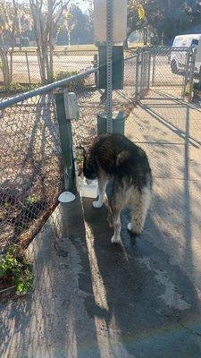 Young lady found the water