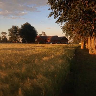 The lodge, nestled in the fields.