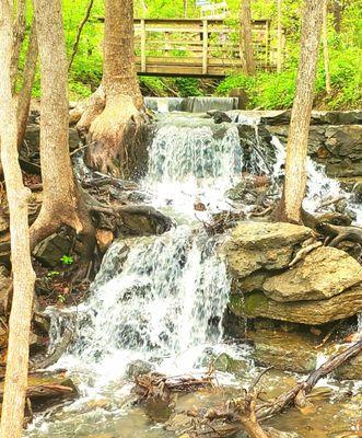 Parkville Nature Sanctuary