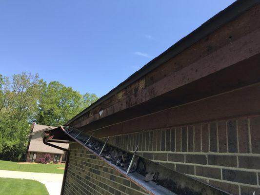 Carpenter bees can cause gutters to fail.