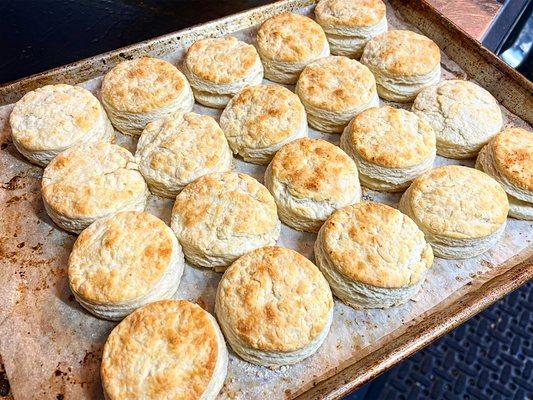 Fluffy, soft, buttery, savory biscuits are mixed and baked daily here