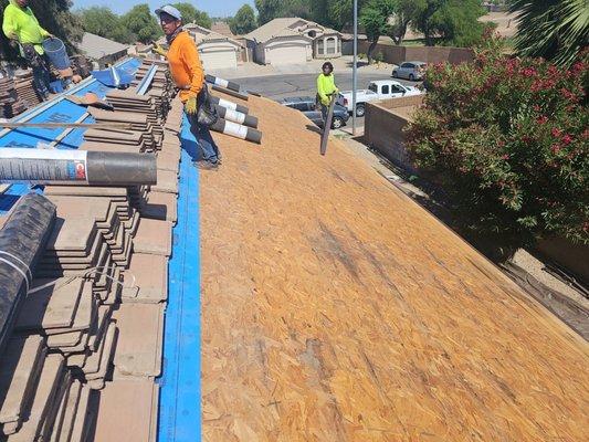 Prospect Roof Company LLC-roof replacement Mesa