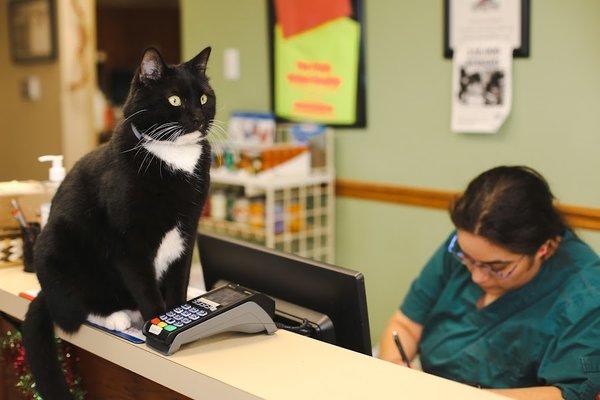 Paw Prints Animal Hospital