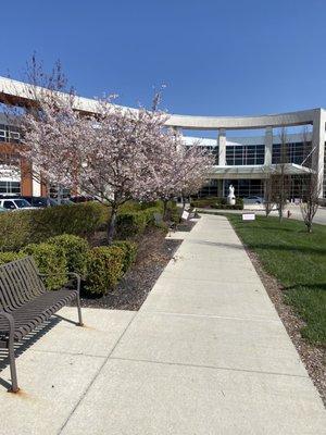 Beautiful walkway up to the main entrance of St. Anne's.