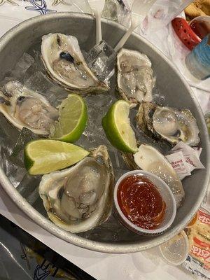 Half dozen raw oysters