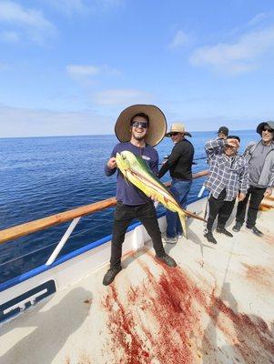 1st Dorado I've ever caught!