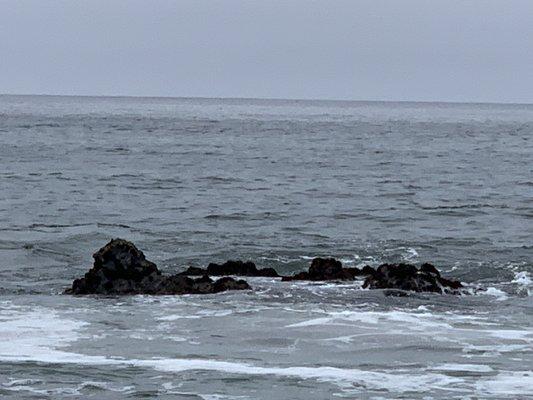 These rocks make for great tide pools - time your visit at low tide.