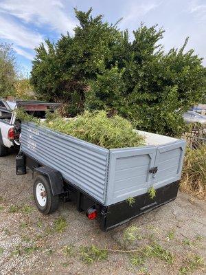 Brush, junk, trash, leaves, piles, we haul it all.