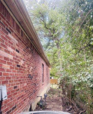 AFTER: Cleared path and nothing touching the roof anymore. They were careful of the property line.