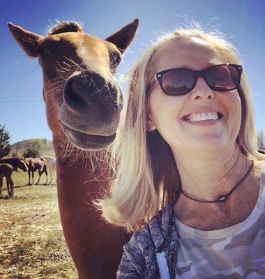 Appalachian Horse Project tour - You'll make new friends and take selfies!