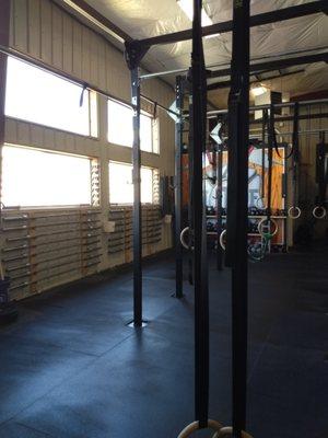 Over 20 Barbells and Pull Up Stations