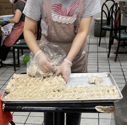 Fresh frozen pork chives dumplings