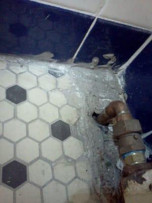 "Quality" tile work. Sloppy, missing pieces. Evidence of a rush job.