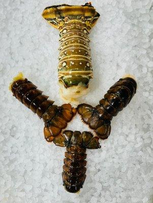 Lobster tail