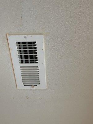 The master bedroom ceiling. These were all from our walkthrough on our set move in date before we moved in.