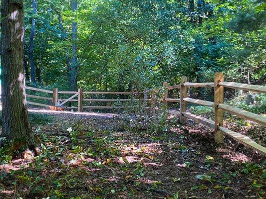 Post and rail fence with welded wire installed by Art of Fence