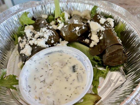 To go order: dolmas with tzatziki (minus 1 already gobbled down)