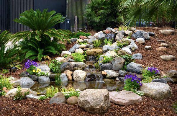 Spring blooms pair well with koi ponds! Another gorgeous pond project complete!