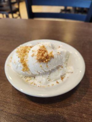 Homemade coconut ice cream