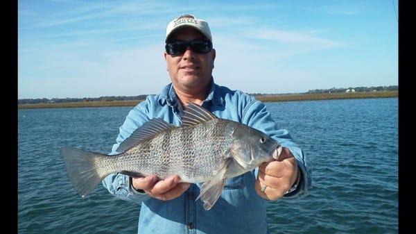 Black Drum