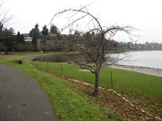 Lake Washington, 3 blocks north of RWC