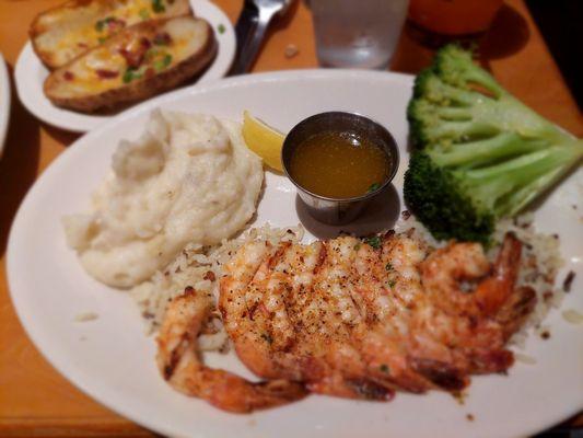 Mashed Potatoes, Grilled shrimp on a bed of pilaf, and Brocolli sides.