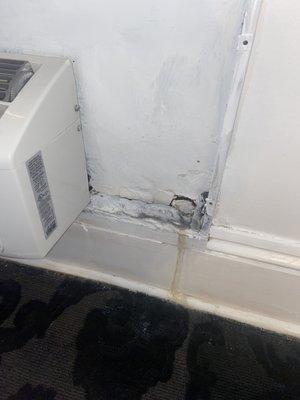 Moldy AC vent leaking water into the carpet. It smells like cat pee and mold. This was FOUR HUNDRED DOLLARS.