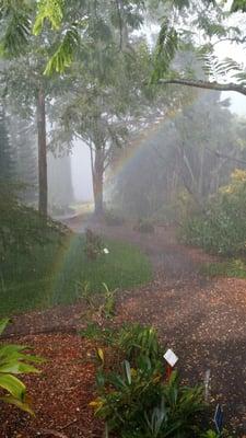 Rainbow in the Rainbow Walk Garden!