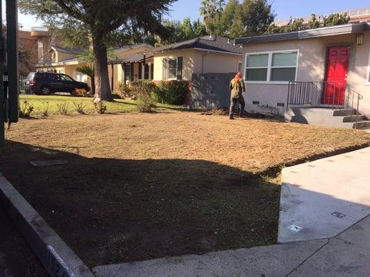 Preparing the soil for new sod