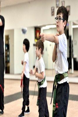 Wing Tsun Illinois