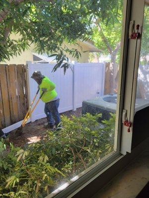 Goodbye ugly old wood fence. Hello new white vinyl fence.